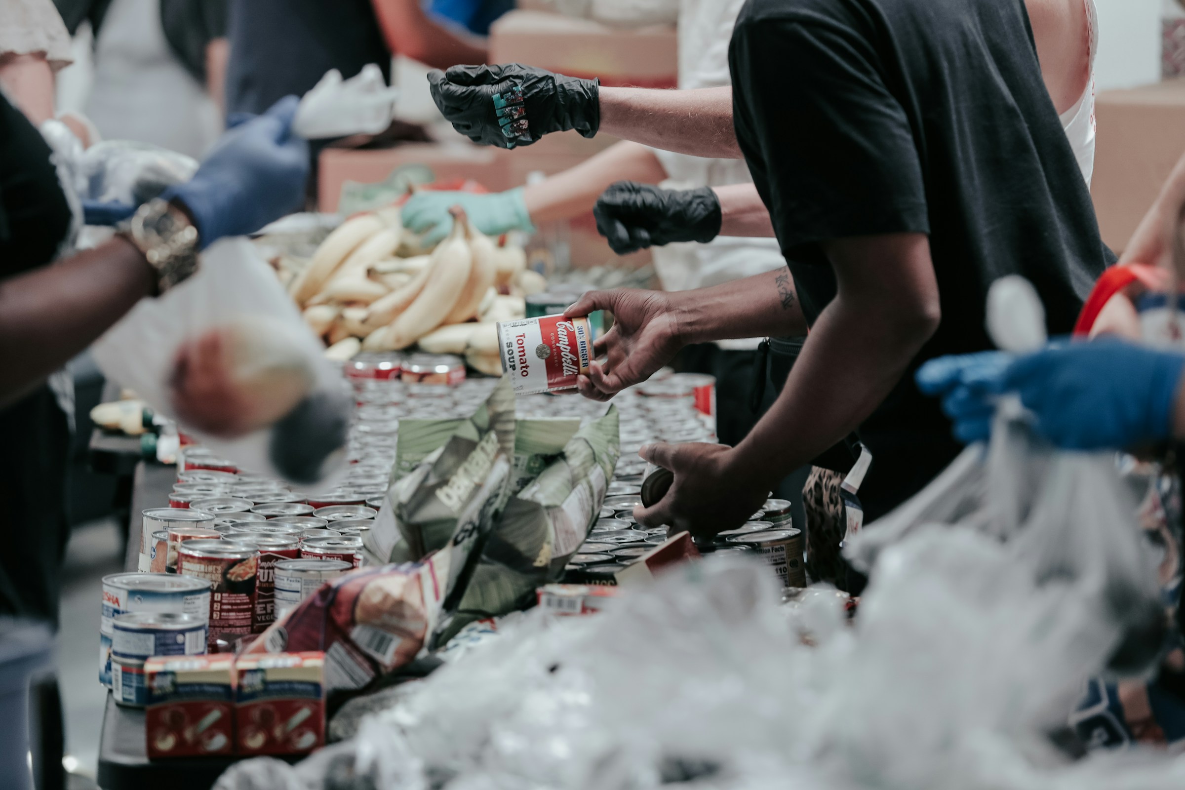 Fight Food Insecurtiy, Elevate Life